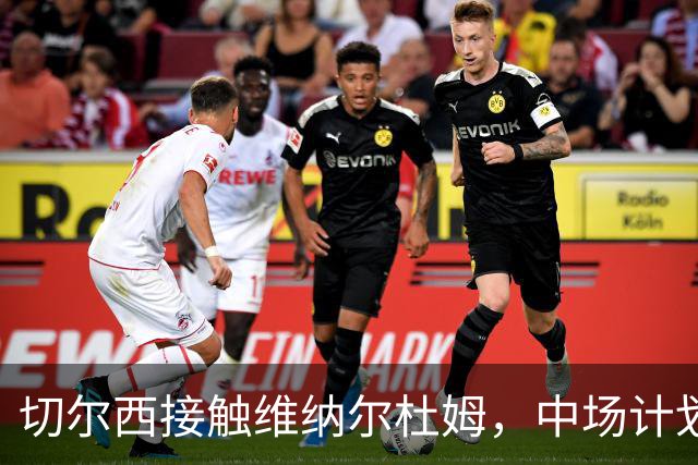 切尔西接触维纳尔杜姆，中场计划受挫后的应急选项