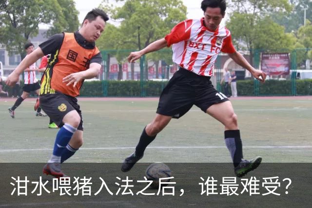泔水喂猪入法之后，谁最难受？