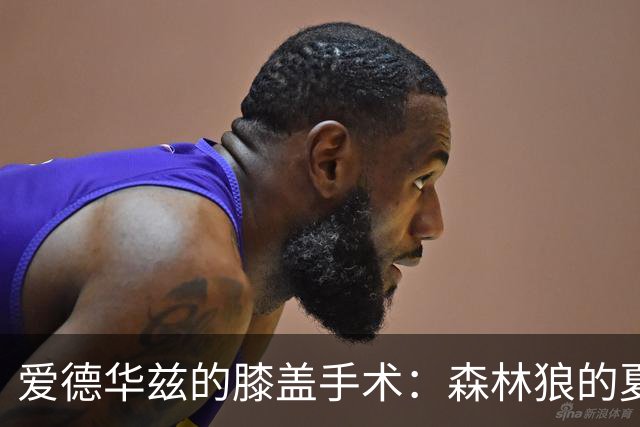 爱德华兹的膝盖手术：森林狼的夏天小秘密大曝光！